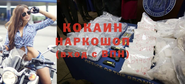 твердый Богданович