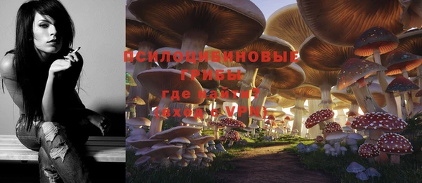 не бодяженный Богородицк
