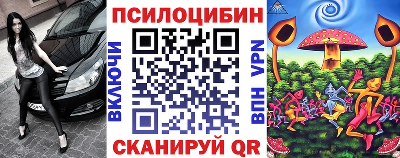 Псилоцибиновые грибы Cubensis  Когалым 
